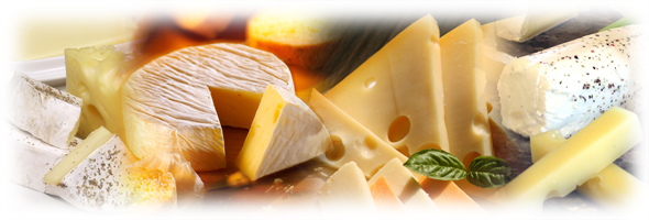 チーズ画像